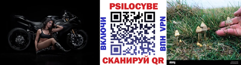 Купить закладки  Ивантеевка  Галлюциногенные грибы ЛСД 